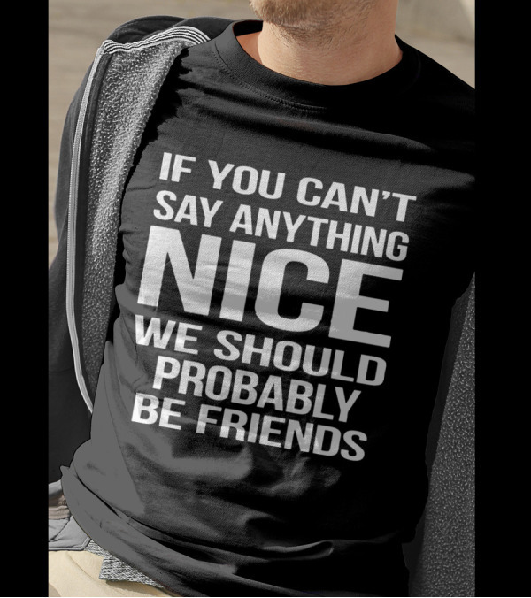 IF YOU CAN'T SAY ANYTHING NICE WE SHOULD PROBABLY BE FRIENDS T-Shirt