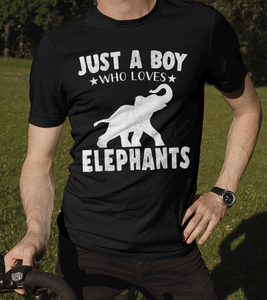 Just A Boy Who Loves Elephants Cool Animals Lover Basic T-Shirt