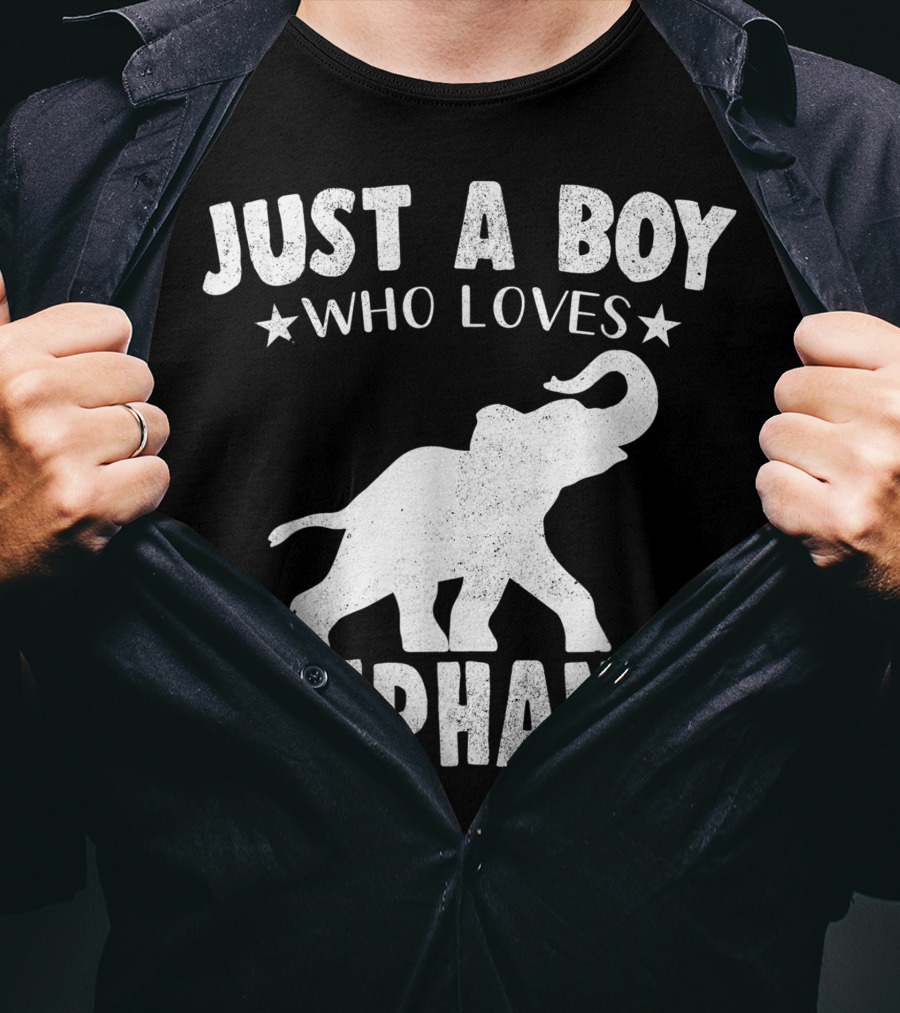 Just A Boy Who Loves Elephants Cool Animals Lover Basic T-Shirt