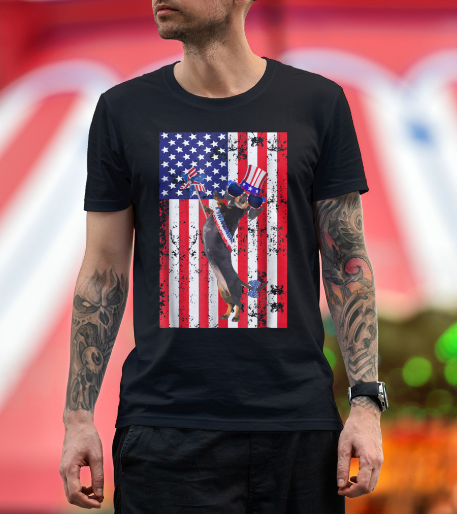 4th Of July Patriotic Dachshund Flag Stars Stripes Hat Sunglasses T-Shirt
