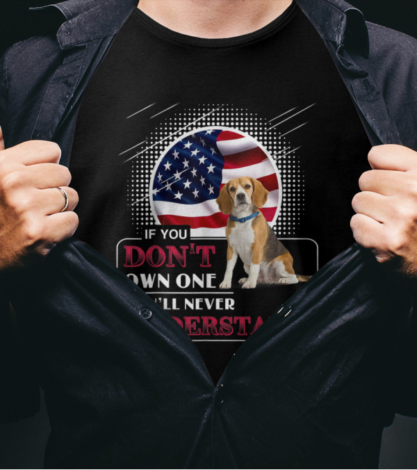 If You Don't Own A Beagle You'll Never Understand American Flag Background T-Shirt