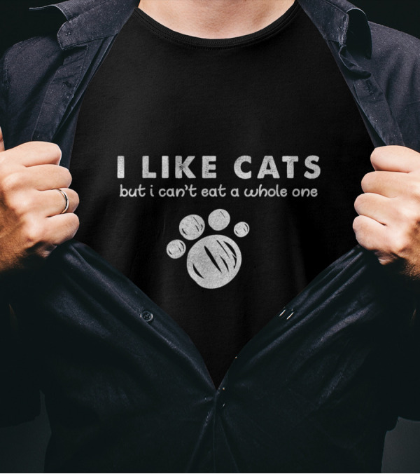 I Like Cats But I Can't Eat A Whole One Kit Funny Paw Print Humor T-Shirt