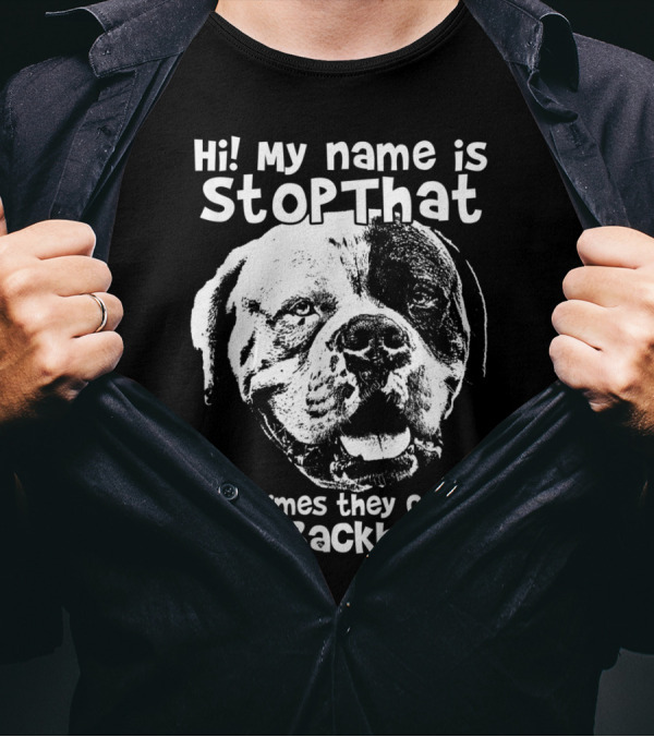 Hi My Name Is StopThat Sometimes They Call Me GetBackHere Funny America T-Shirt