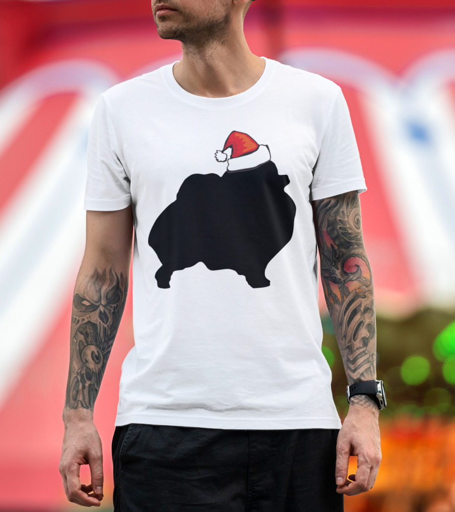 Pomeranian Christmas Santa Hat T-Shirt