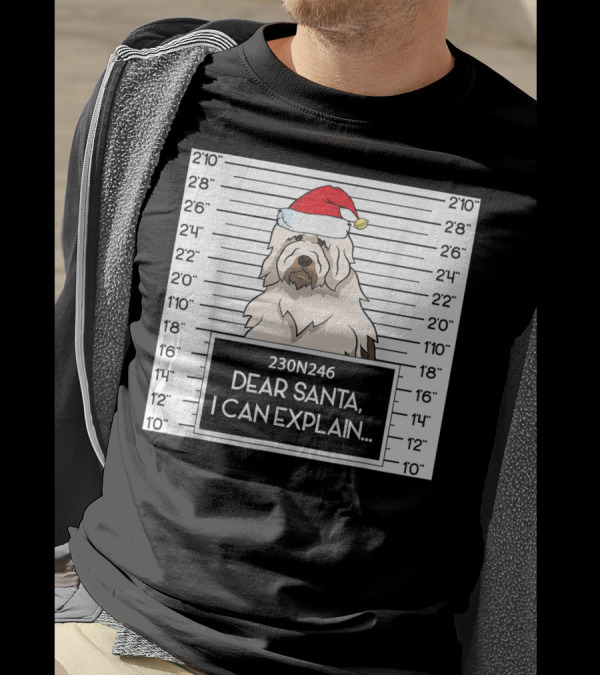 English Sheepdog Mugshot Dear Santa I Can Explain With Santa Hat T-Shirt
