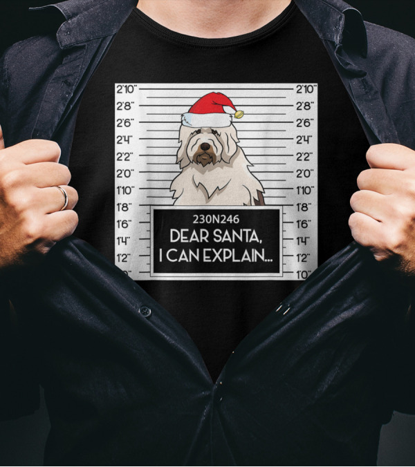 English Sheepdog Mugshot Dear Santa I Can Explain With Santa Hat T-Shirt