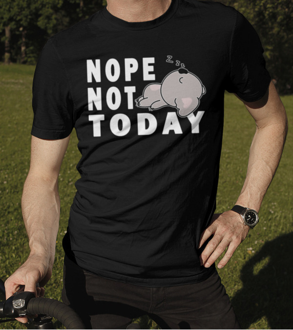 Sleepy Nope Not Today Lazy Koala Nap T-Shirt