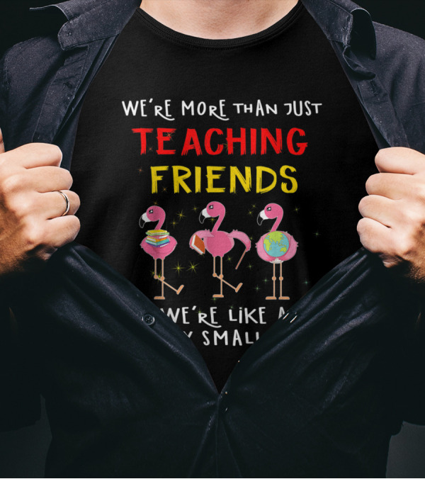 We're More Than Just Teaching Friends We're Like A Really Small Gang T-Shirt