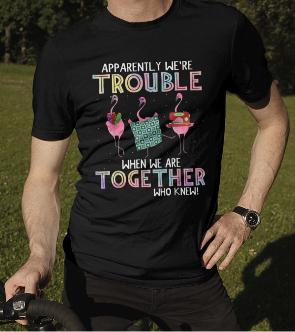 Apparently We're Trouble When We Are Together Who Knew Flamingos T-Shirt