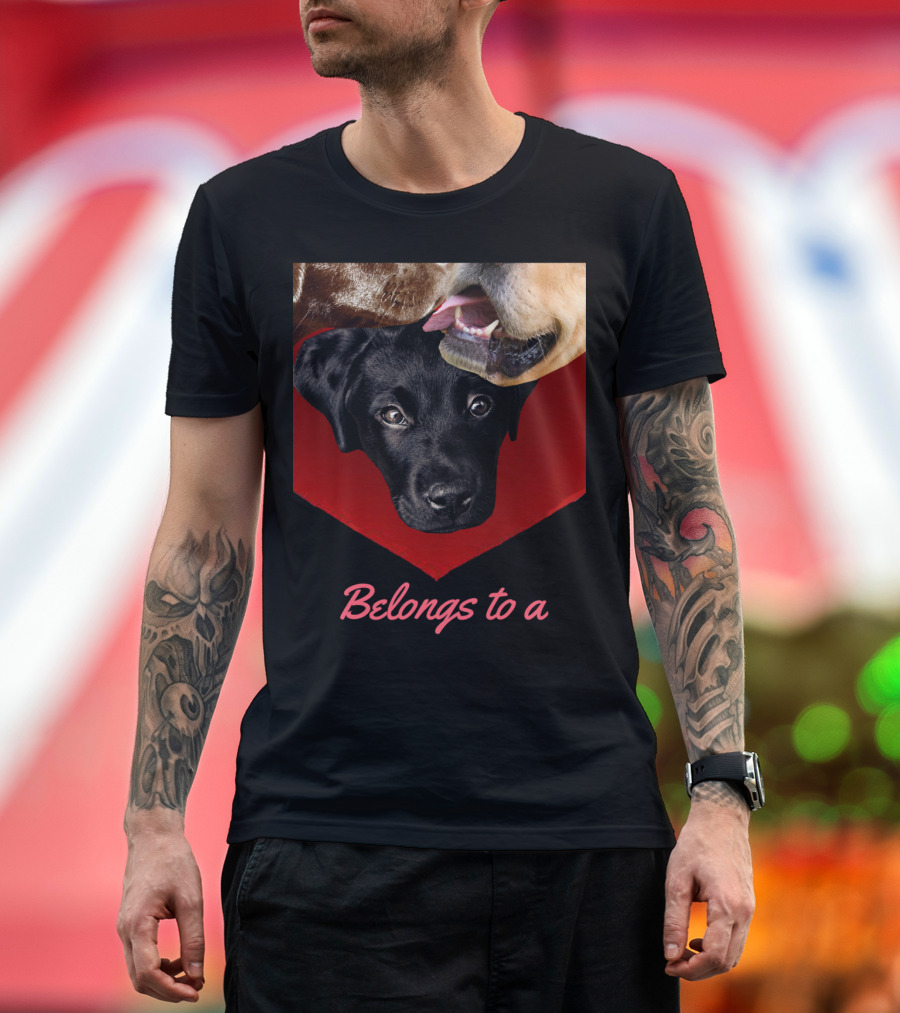 Belongs to a Labrador Dog Shows Yellow Lab Choc Lab Trio T-Shirt