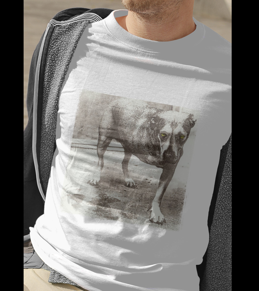 Dog With Yellow Eyes Aic T-Shirt