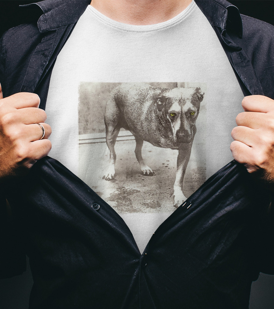 Dog With Yellow Eyes Aic T-Shirt