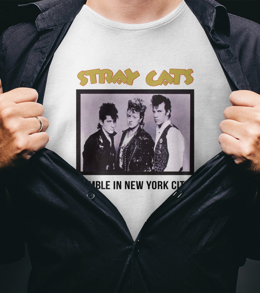 Stray Cats Rumble In New York City T-Shirt