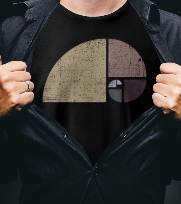 Distressed Fibonacci Spiral Geometric T-Shirt