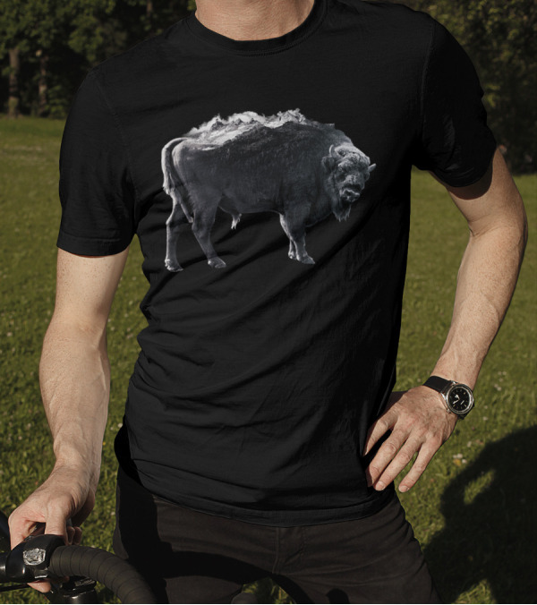 Bison Mountain Black And White Stormy Peaks T-Shirt