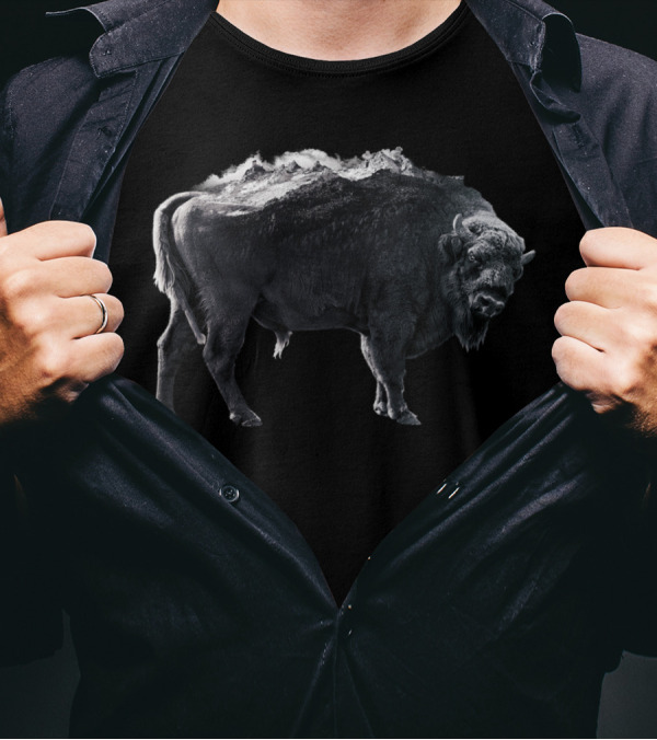 Bison Mountain Black And White Stormy Peaks T-Shirt