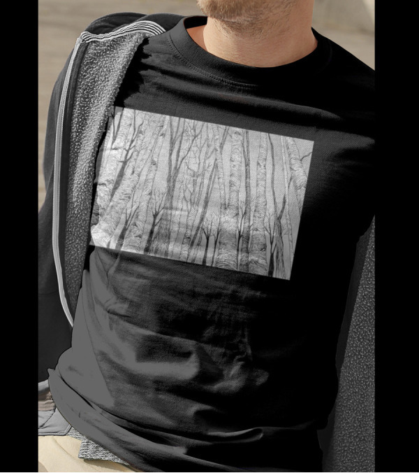 Clouded Forest Birch Trees By Bore T-Shirt
