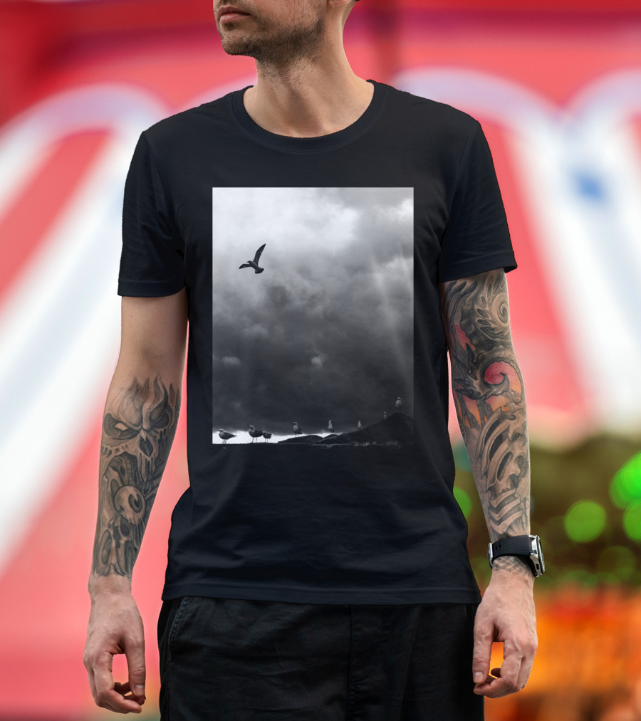 Flight Seagull Against Stormy Sky with Clouds and Birds on Ground T-Shirt