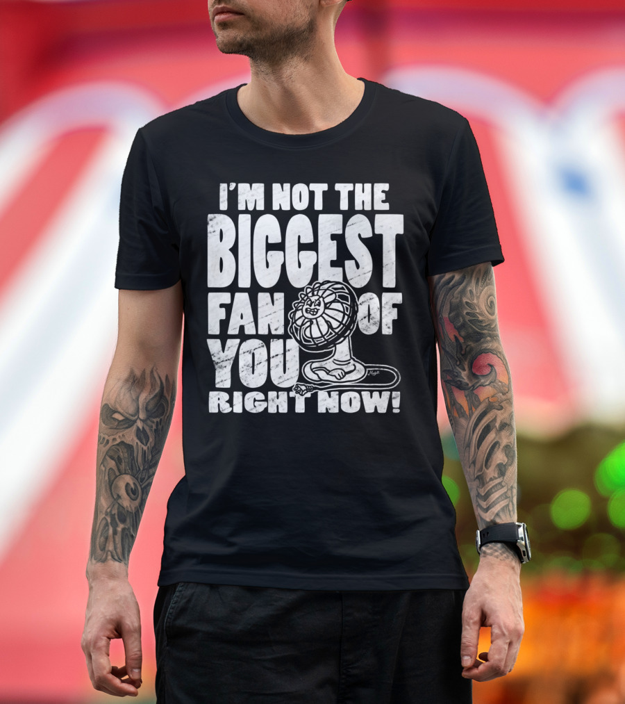 I'm Not the Biggest Fan of You Right Now T-Shirt