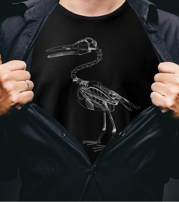 Hesperornis Skeleton Ancient Flightless Bird Fossil Northeastern Paleontology T-Shirt