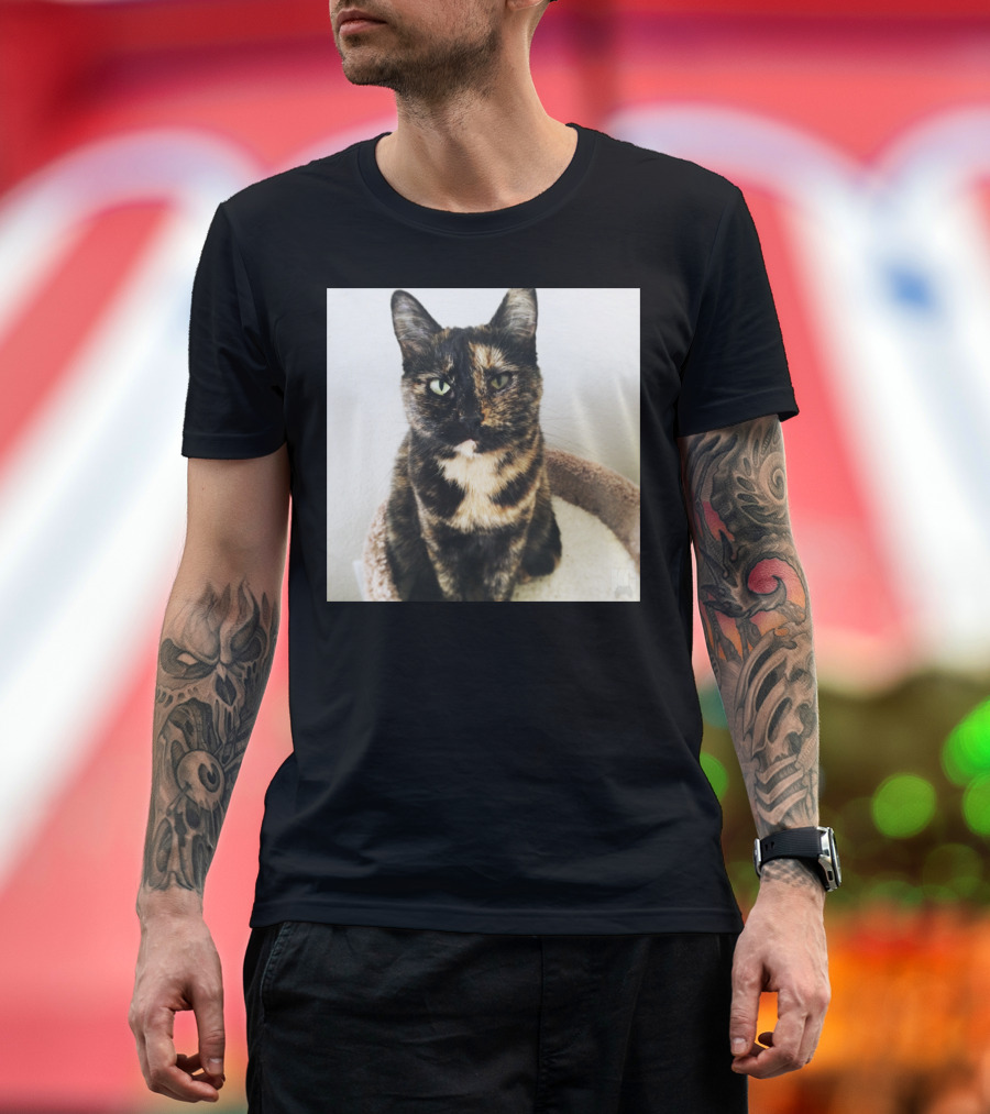 Keeva the Tortoiseshell Cat on Cozy Perch T-Shirt
