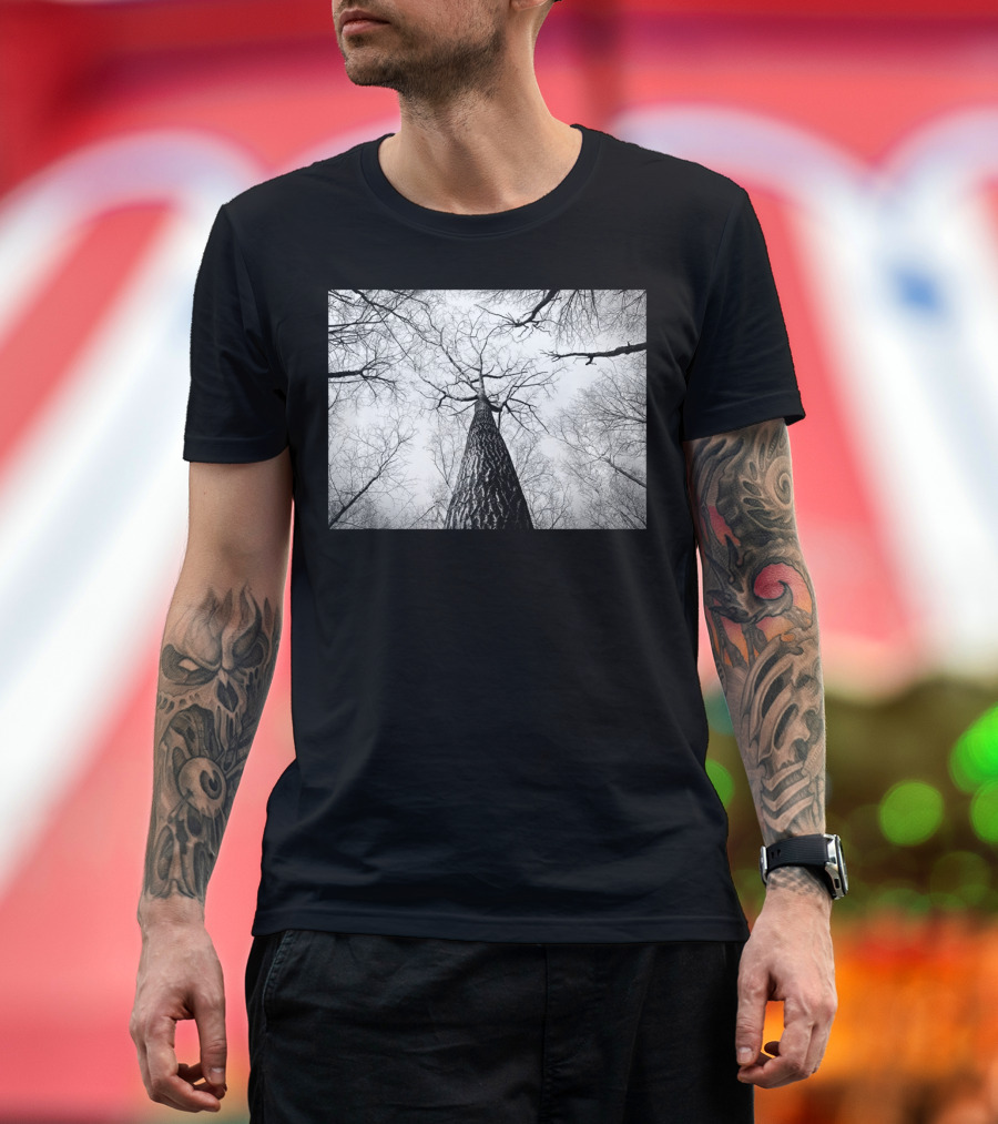 Mother Tree Looking Upward at Winter Branches T-Shirt