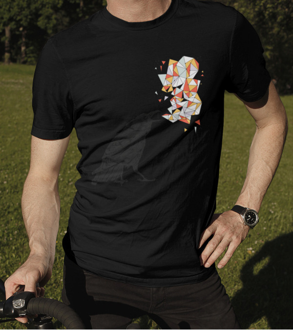 Triangulation Raven Geometric Burst T-Shirt
