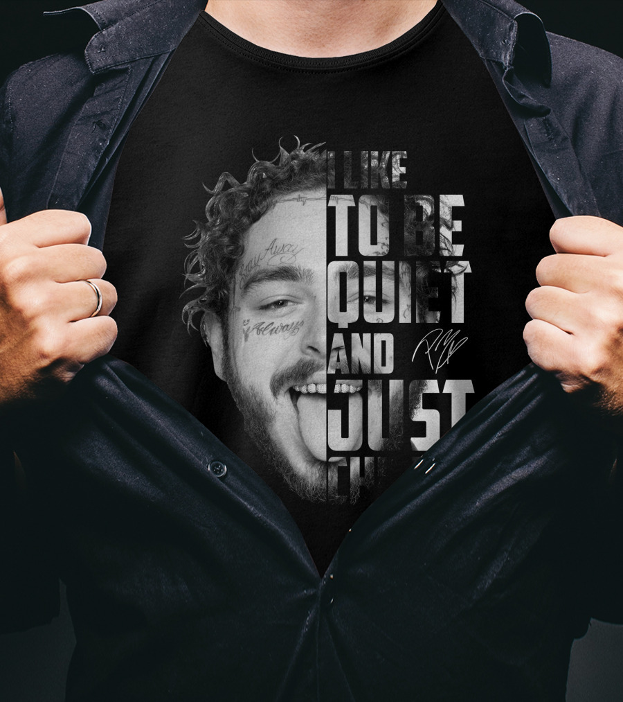 I Like To Be Quiet And Just Chill T-Shirt
