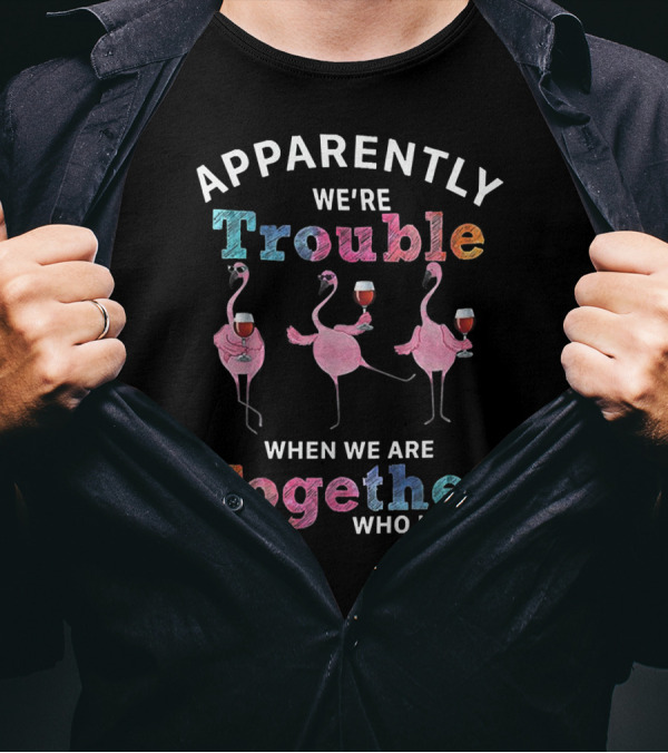APPARENTLY WE'RE TROUBLE WHEN WE ARE TOGETHER WHO KNEW FLAMINGOS WITH WINE T-Shirt