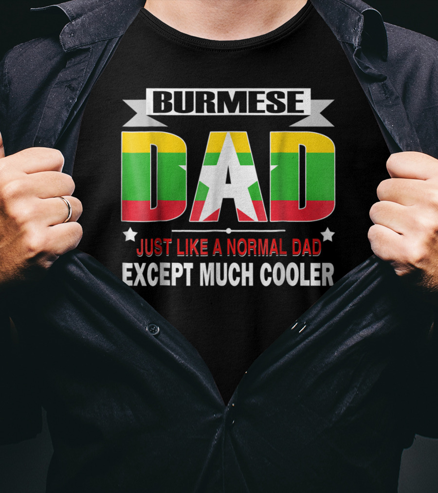 Burmese Dad Just Like A Normal Dad Except Much Cooler Flag76 T-Shirt