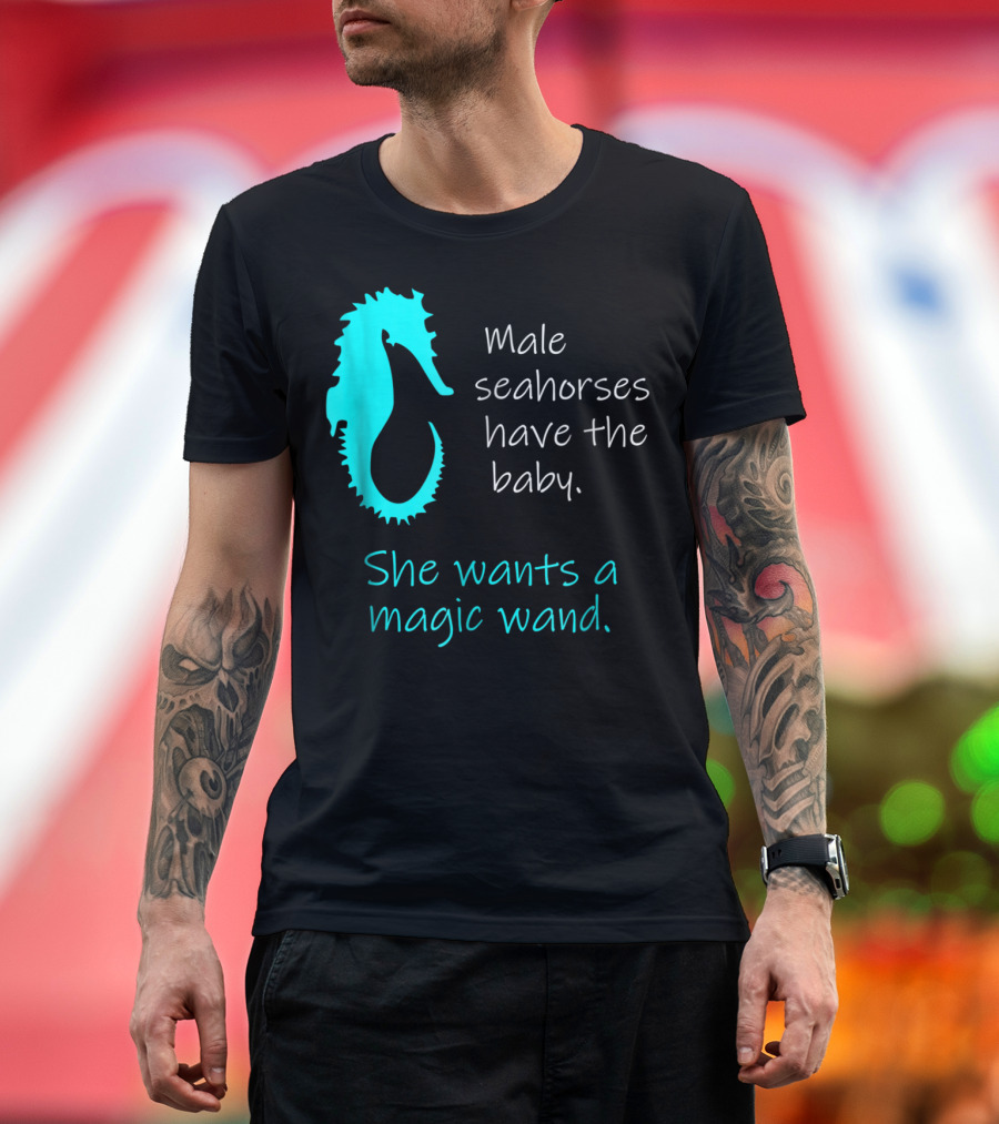 Male Seahorses Have The Baby She Wants A Magic Wand Dad To Be Maternity Tee96 T-Shirt