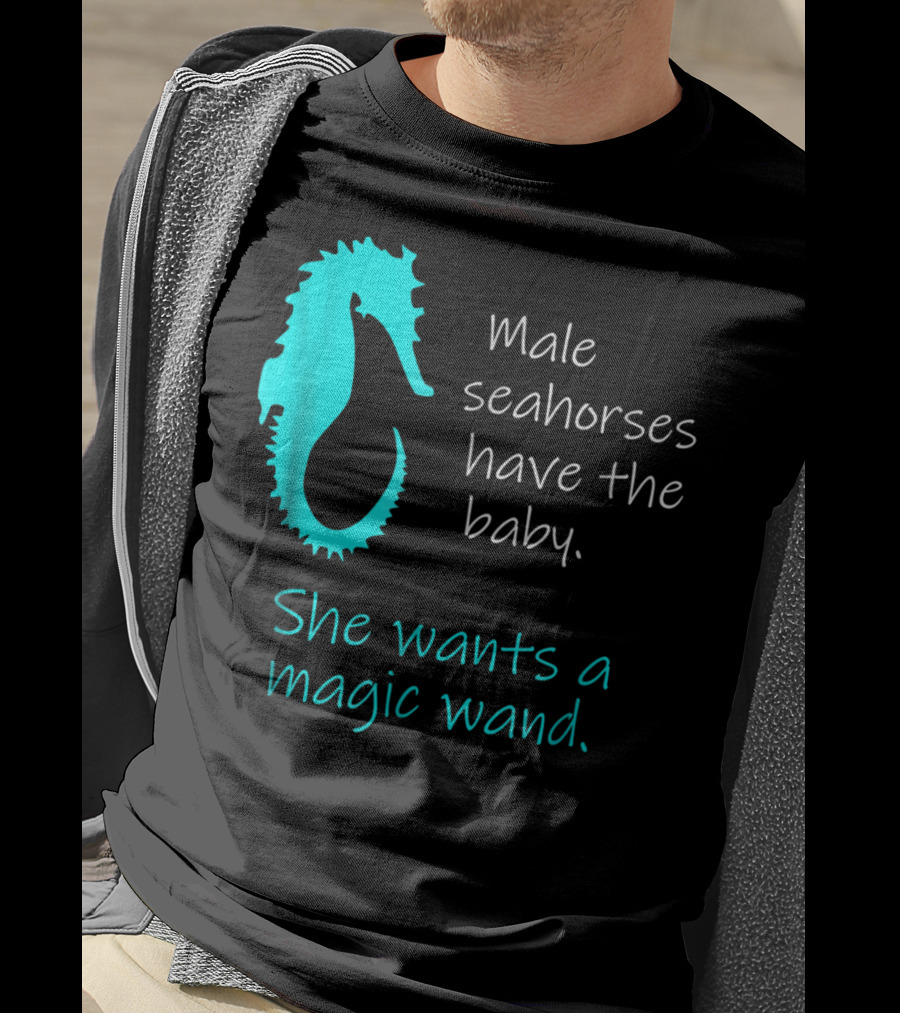 Male Seahorses Have The Baby She Wants A Magic Wand Dad To Be Maternity Tee96 T-Shirt