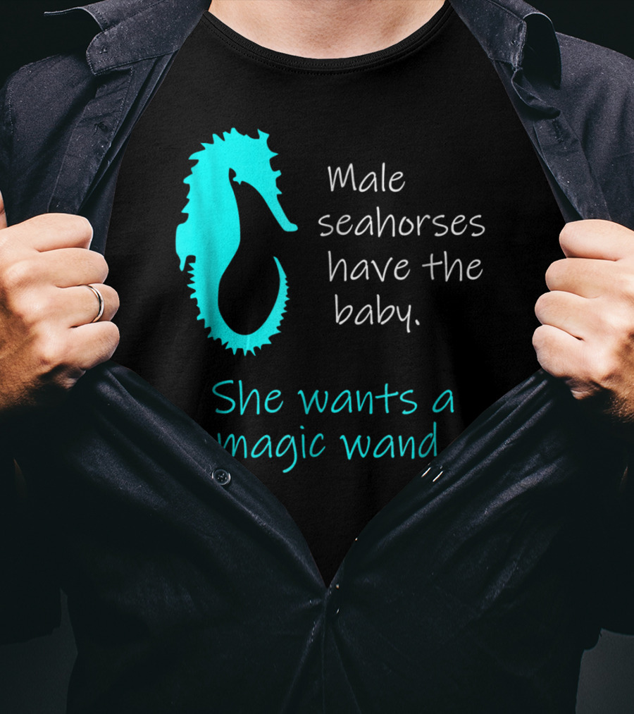 Male Seahorses Have The Baby She Wants A Magic Wand Dad To Be Maternity Tee96 T-Shirt
