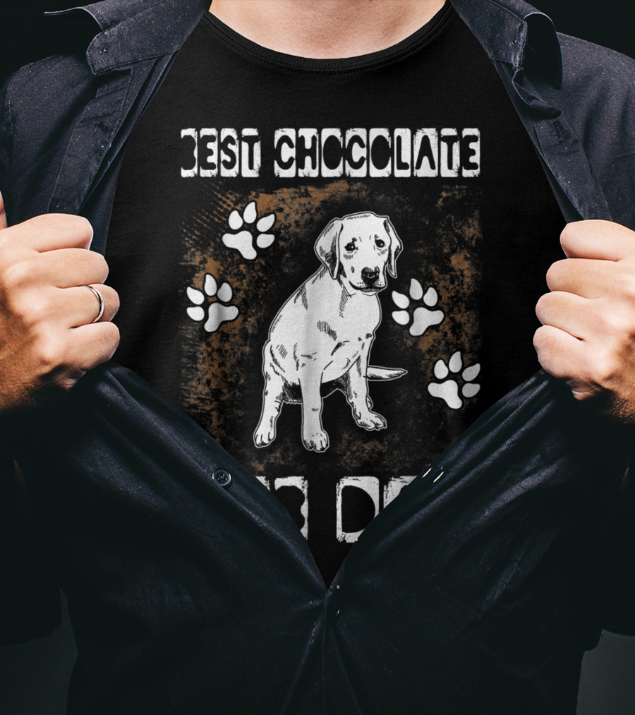 Best Chocolate Lab Dad Paw Print Labrador T-Shirt