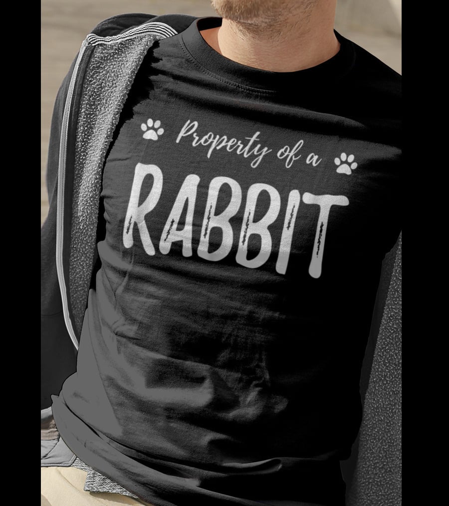Property Of A Rabbit Funny Rabbit Lover Bunny Mom T-Shirt