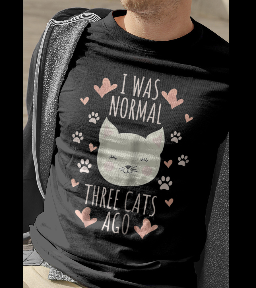 I Was Normal Three Cats Ago Cat Mom Crazy Cat Lady Hearts And Paw Prints T-Shirt