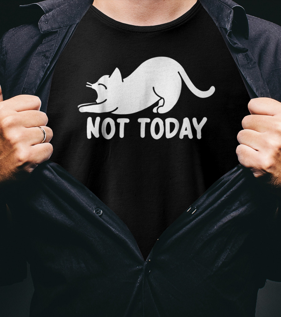 Lazy Cat Not Today Cat Lovers Cat Lady Cat T-Shirt