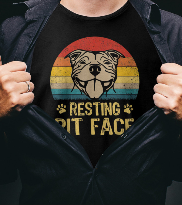 Resting Pit Face Retro Pitbull Dog With Stripes T-Shirt