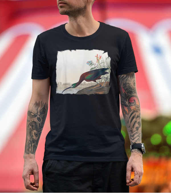 Premium T-Shirt: Glossy Ibis Bird Vintage Nature Scene T-Shirt Glossy Ibis Bird Vintage Nature Scene T-Shirt