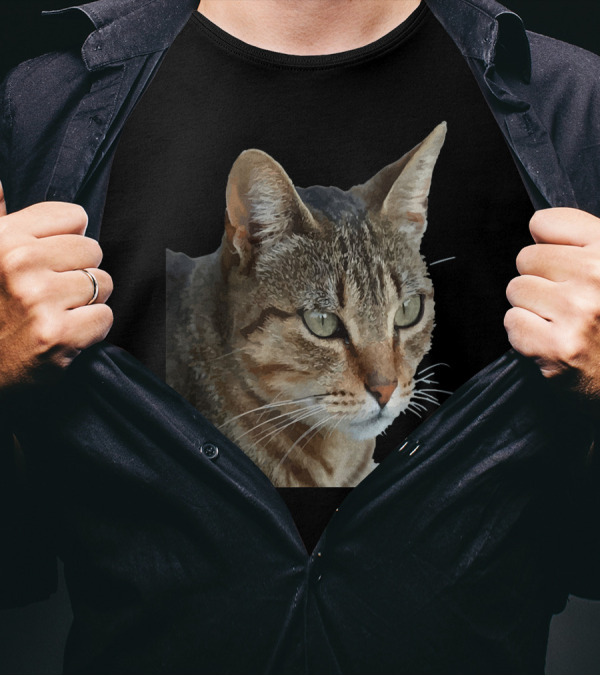 Stunning Tabby Cat Close Up Portrait Vector Art Realistic Feline Expression T-Shirt