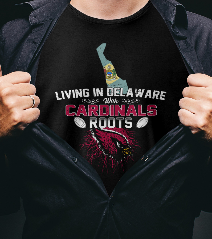 Living In Delaware With Arizona Cardinals Roots And State Flag T-Shirt
