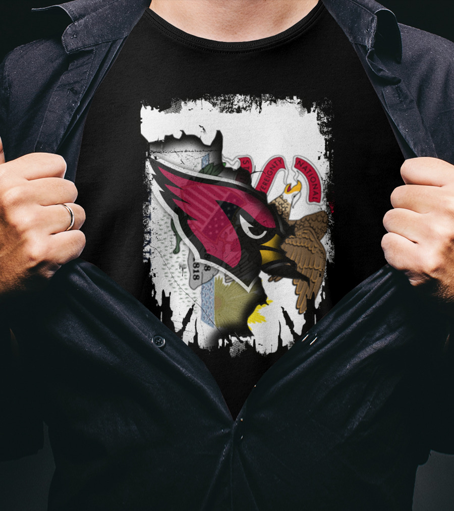 Illinois Pride With Fierce Cardinals Unity T-Shirt