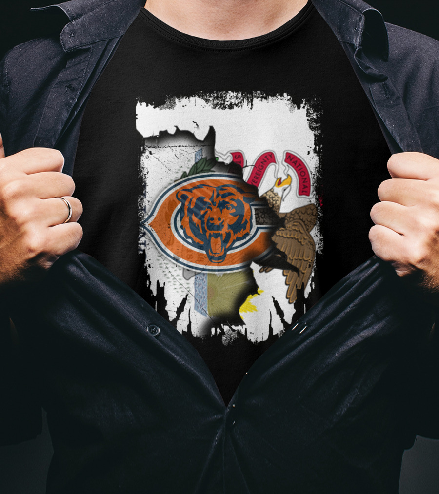Illinois Pride With Chicago Bears And State Seal T-Shirt