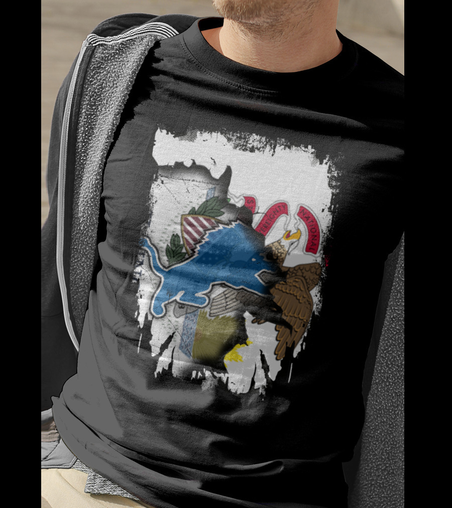 Detroit Lions Meet Illinois State Seal Strength Unity T-Shirt