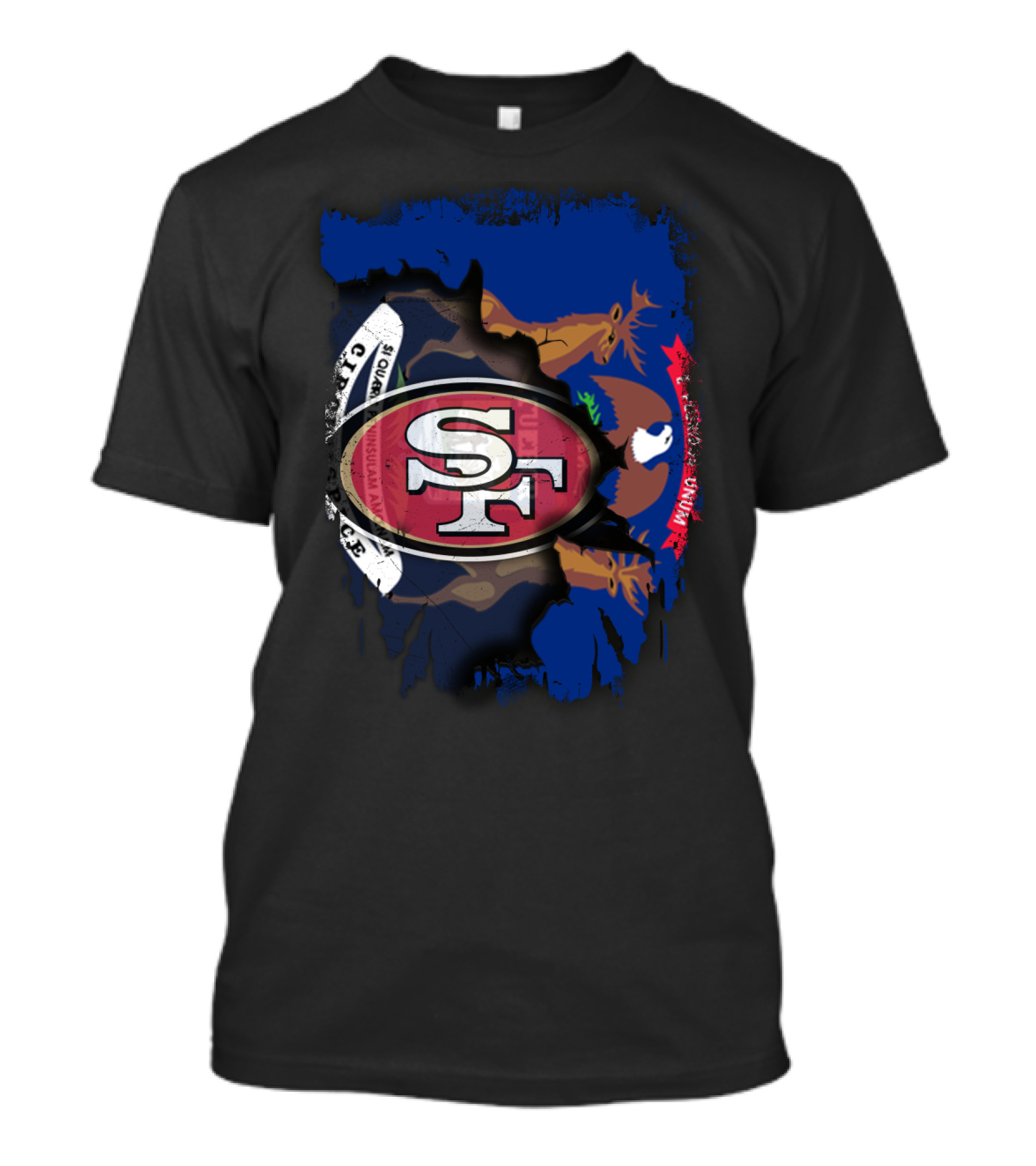 Michigan State Flag With San Francisco 49ers T-Shirt