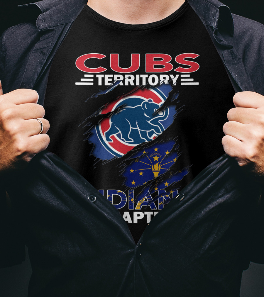 Cubs Territory Indiana Chapter Indiana State Flag And Cubs T-Shirt