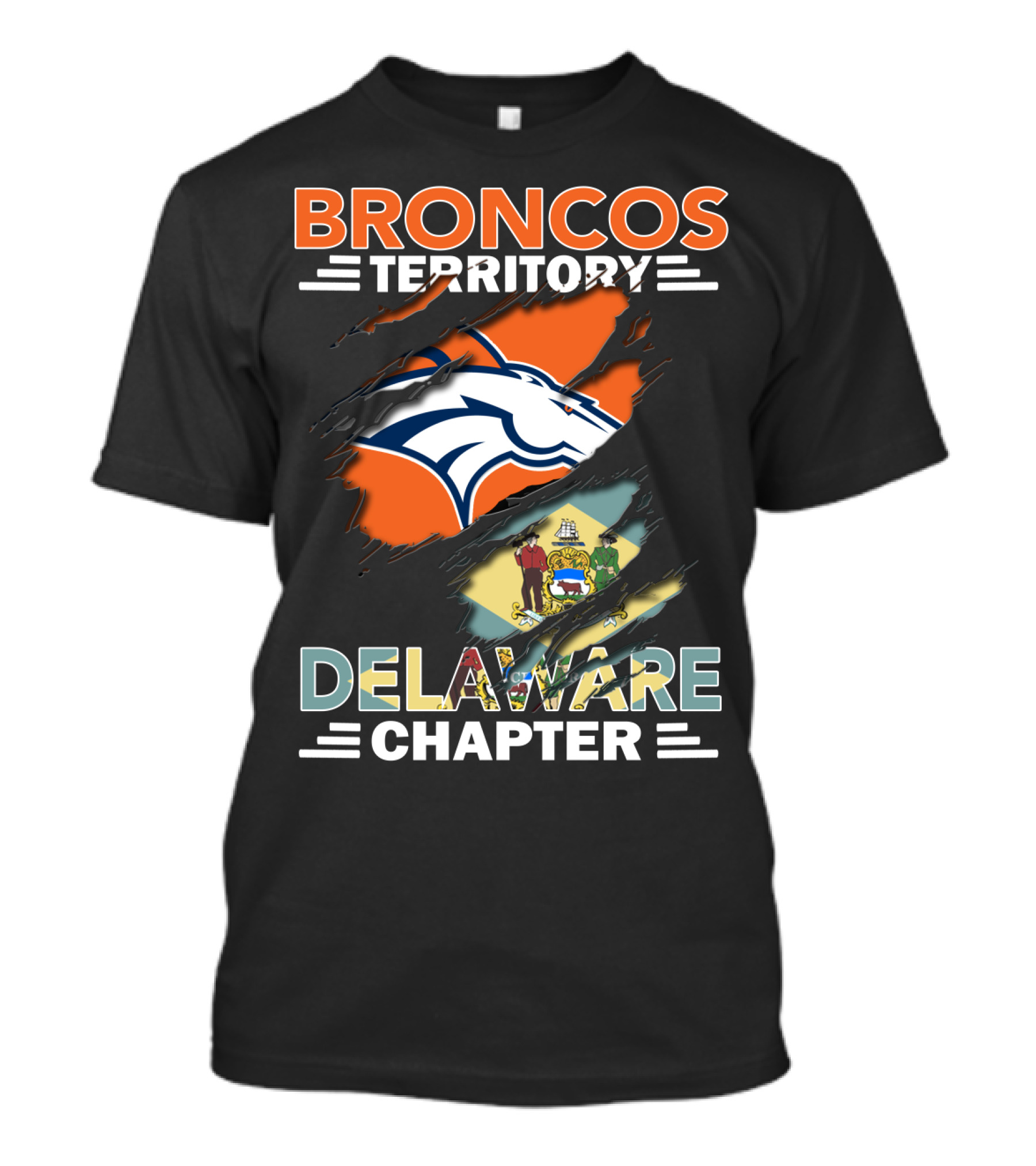 Broncos Territory Delaware Chapter State Flag And Logo Elements T-Shirt