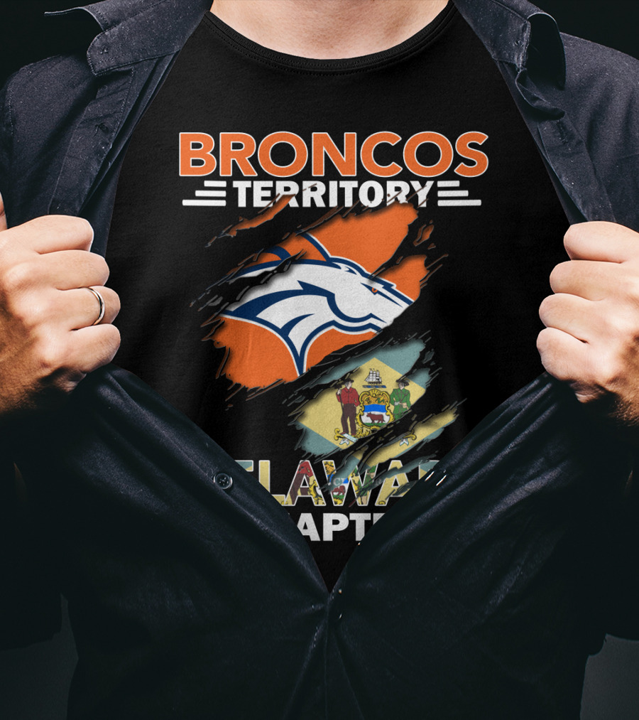 Broncos Territory Delaware Chapter State Flag And Logo Elements T-Shirt