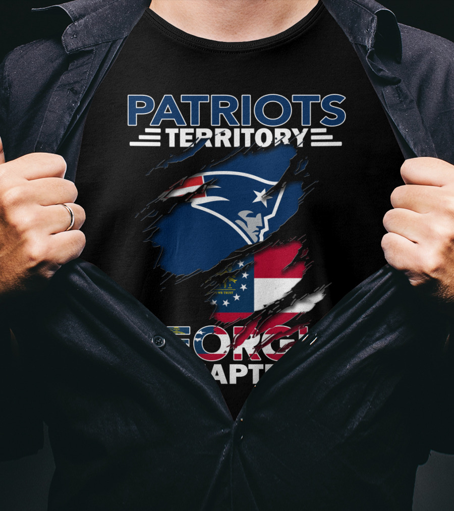 Patriots Territory Georgia Chapter New England Flag Fusion T-Shirt