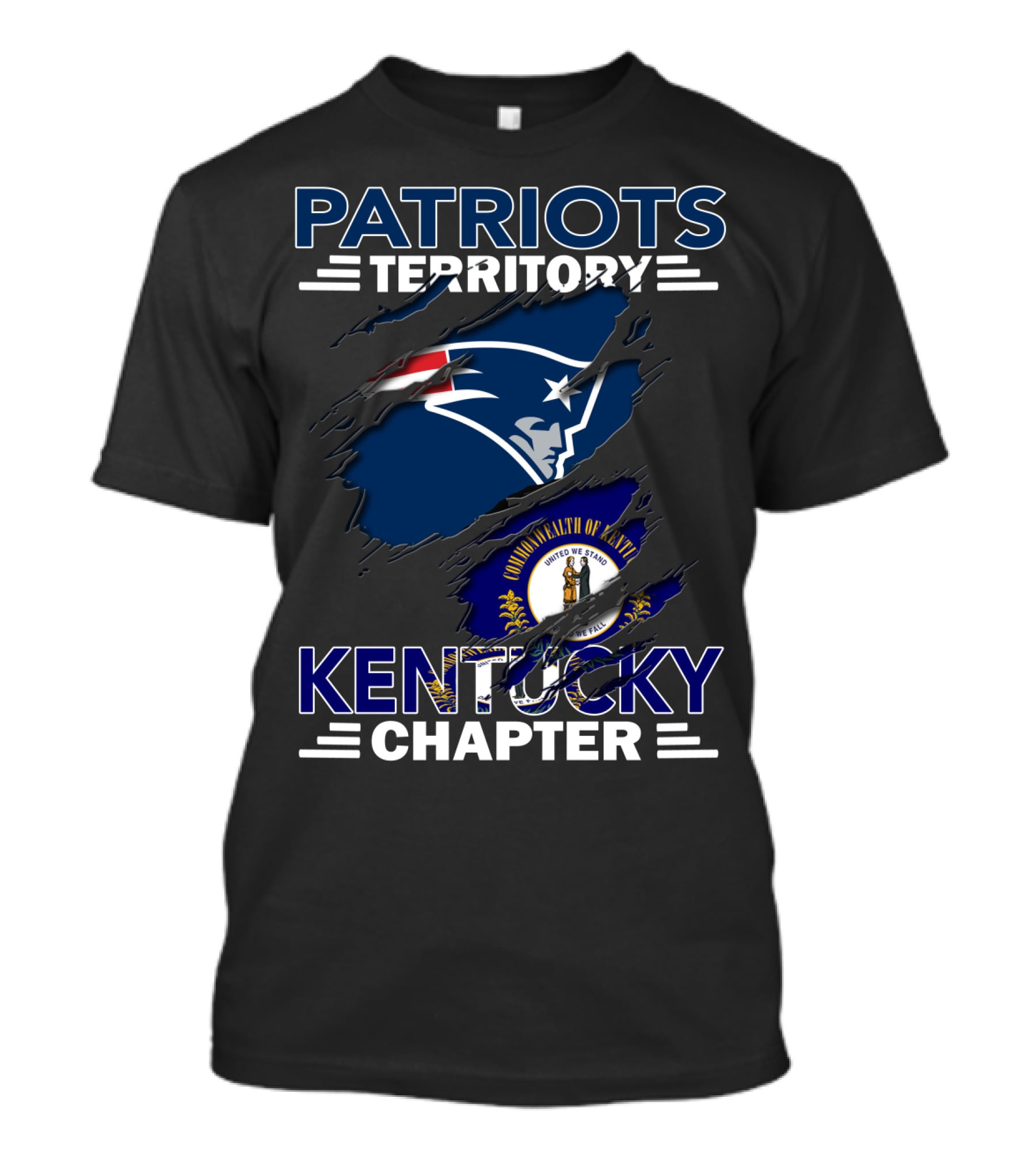 Patriots Territory Kentucky Chapter Commonwealth Of Kentucky Flag NFL T-Shirt
